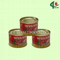 70g*50tins canned tomato paste 28-30 2