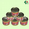 70g*50tins canned tomato paste 28-30 3