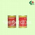 140g canned tomato paste 28-30 2