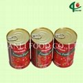 140g canned tomato paste 28-30 3