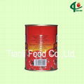 400g canned tomato paste 3