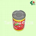 800g canned tomato paste 28-30 brix 3