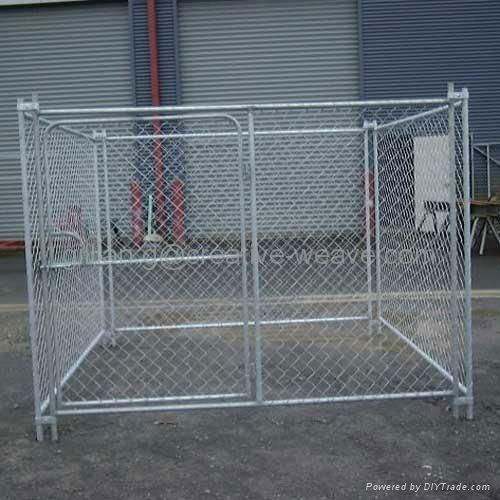 Dog Kennels 3