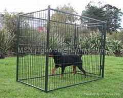 Dog Kennels