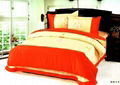 Embroider Bedding Set