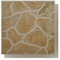 500*500MM rustic tile(glazed tile)ceramic tile 2
