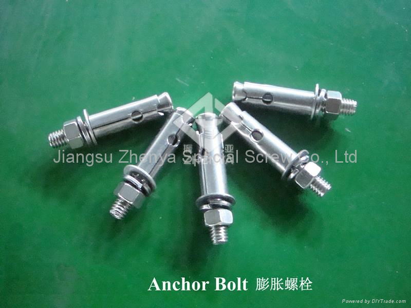 Wedge Achor/Through Bolt 4