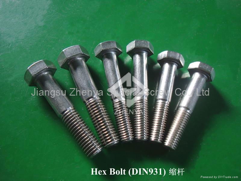 Hex Bolt(DIN931 DIN933) 2