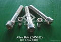 Allen Bolt/Hex Socket Cap Screw 1