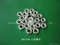Stainless Steel Nut 1
