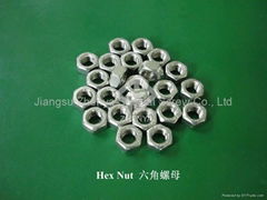 Stainless Steel Nut