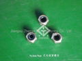 Stainless Steel Nut 2