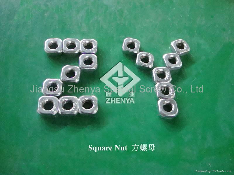 Stainless Steel Nut 4