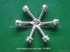 Self Drilling Screw(DIN7504)