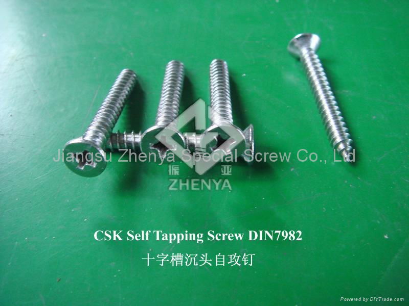 Self Tapping Screw 2