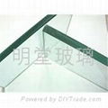 Tempered glass 2