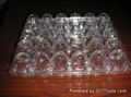 plastic egg trays  2