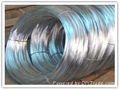 Hot Dipped Galvanized Iron Wire for