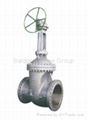 Gate Valve 1