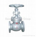 globe valve 1