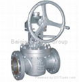 Plug Valve 3