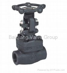 Forged Steel Valves