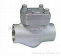 Forged Steel Valves 2