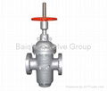 Gate Valve 1