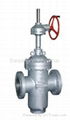 Gate Valve 2