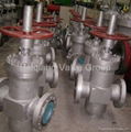 Gate Valve 4