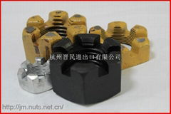 DIN935 hex slotted nut