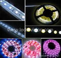 RGB LED strip,LED rope light,LED rigid strip,alluminum strip with led driver 4