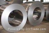 Cold Rolled Steel Coil