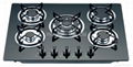 LPG/NG high efficiency built-in hobs 5