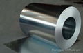 Galvanized steel coil 3