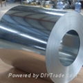 Galvanized steel coil 5