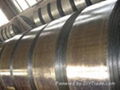 Galvanized steel coil