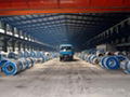 Electro galvanized steel coil and sheet 1