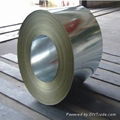 Electro galvanized steel coil and sheet 3