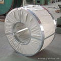 Electro galvanized steel coil and sheet 4