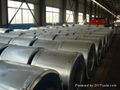 Electro galvanized steel coil and sheet 5