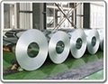 Electro galvanized steel coil and sheet 2