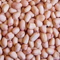 peanut kernels 1