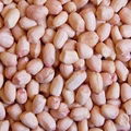 peanut kernels