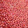 peanut kernels 4