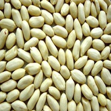 Blanched peanut kernels 1