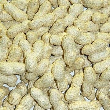 groundnut in shell