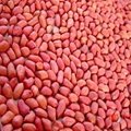 red peanut kernels