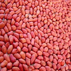 red peanut kernels 