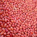 peanut kernels round type 3